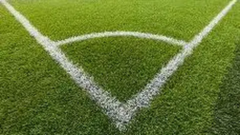 苏超主场争霸：揭秘13强球队主场风采