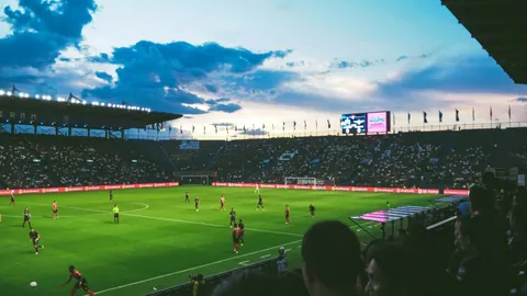 爱游戏 产品 100043 ivc