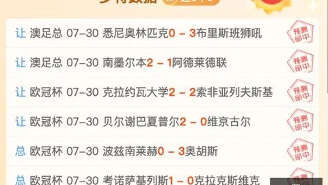爱游戏，爱游戏官网， 210817