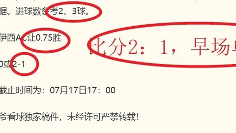 爱游戏 215730 0